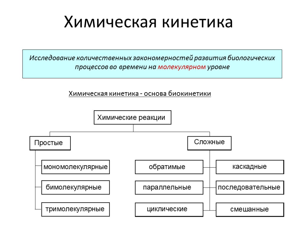 Химическая кинетика Исследование количественных закономерностей развития биологических процессов во времени на молекулярном уровне Химическая